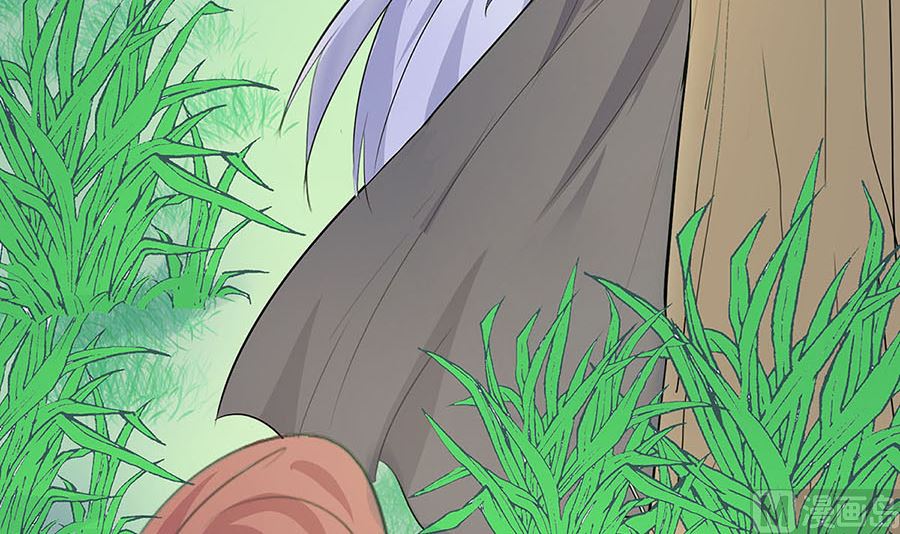🍶穿越王妃夫君别找虐 第62话 天才御药师 第34页