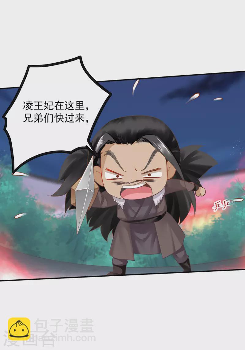 🍶穿越王妃要升级 第234话 我族也曾遭遇此 第30页