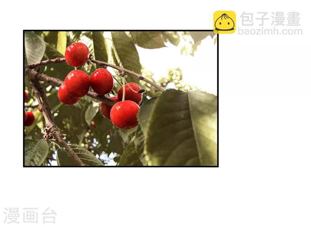 🍶穿越王妃要升级 第74话 宠妻狂魔 第18页