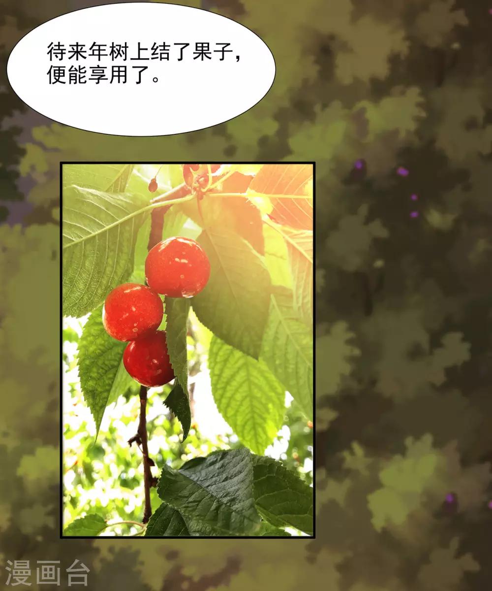 🍶穿越王妃要升级 第74话 宠妻狂魔 第24页