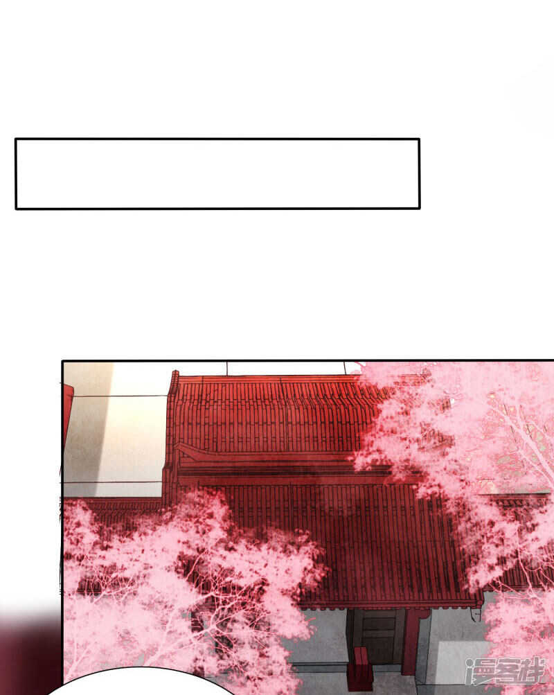 🍶穿越之太子妃威武 大周塑料兄妹情 第13页