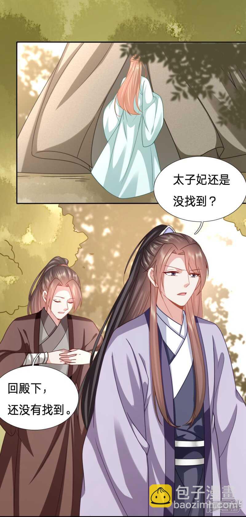 🍶穿越之太子妃威武 有人冒充太子妃？ 第3页