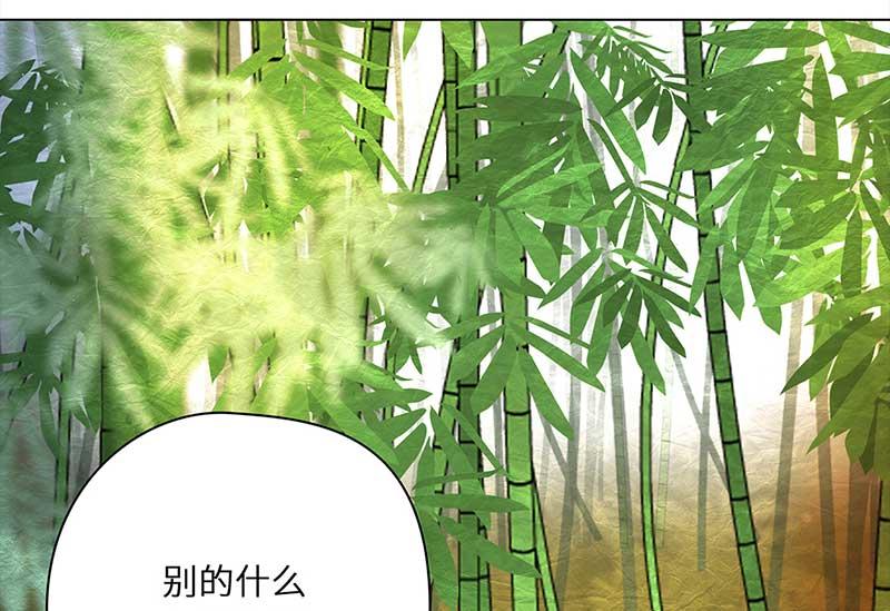 🍶穿越之哑巴王爷 032-033 被拒（3）阿佑的“聪明”（1） 第29页