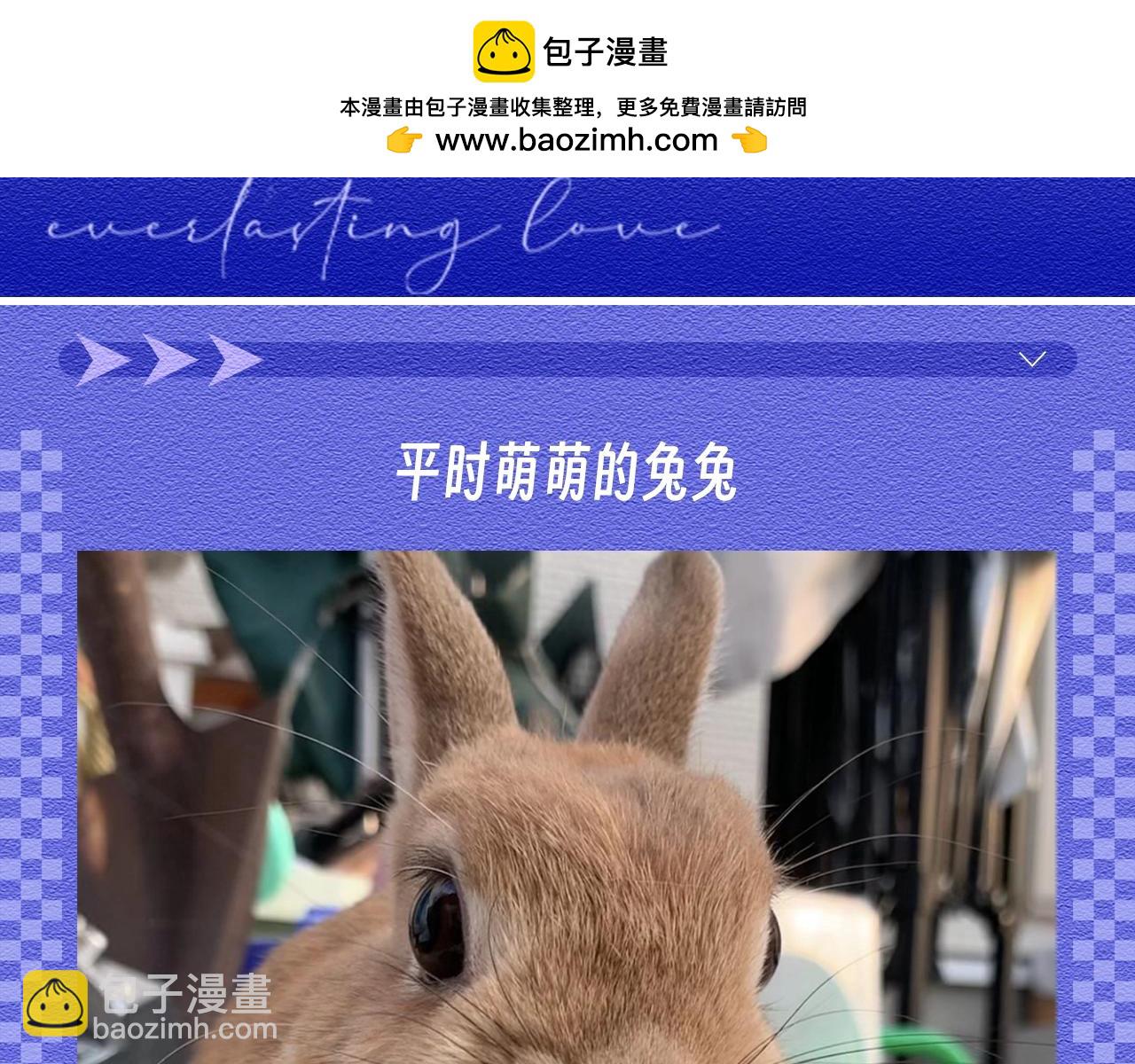 第45期 整活企划：原来垂耳执事很写实！-第138话