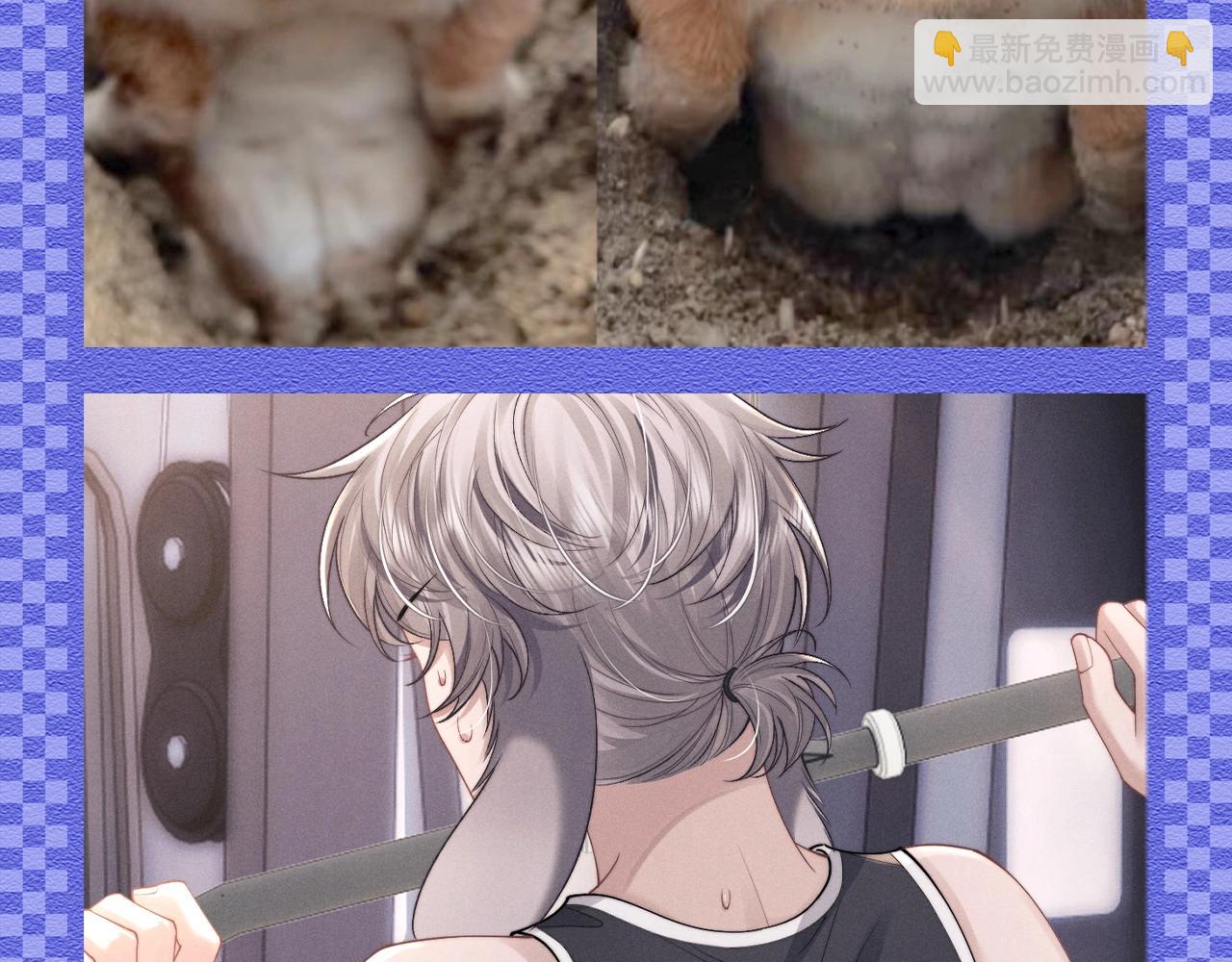 第45期 整活企划：原来垂耳执事很写实！-第138话