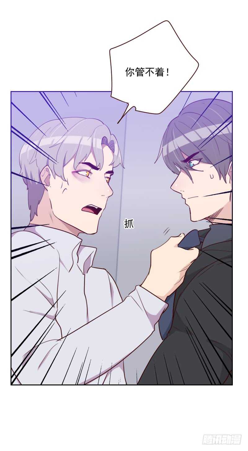 第一百四十六话 鞋子引发的战争-第144话