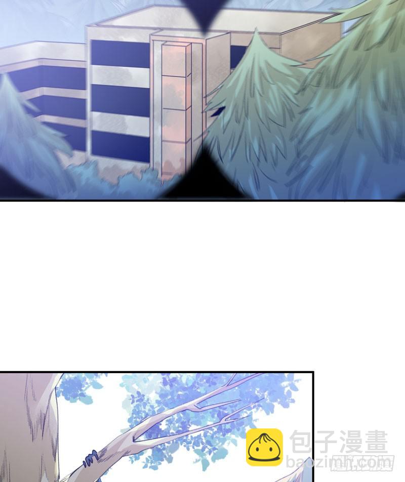 迷幻森林，神奇的暗号-第34话