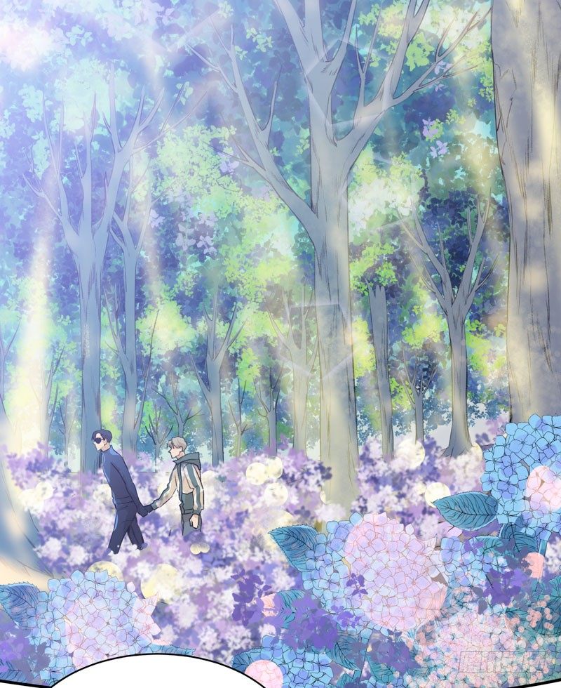 迷幻森林，神奇的暗号-第34话