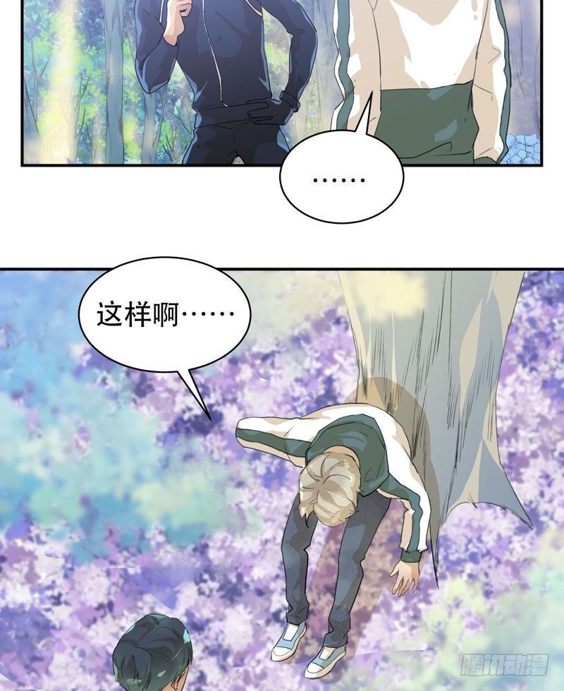 迷幻森林，神奇的暗号-第34话