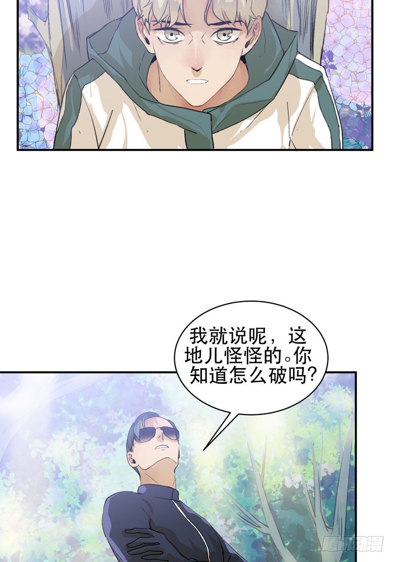 迷幻森林，神奇的暗号-第34话