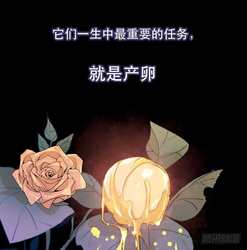 我可以有喜欢的人吗？-第56话