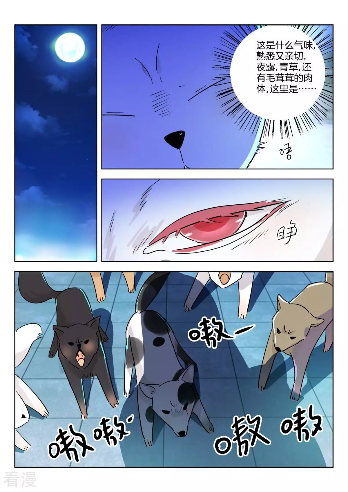第332话 恭喜恭喜，喜得贵子-第332话
