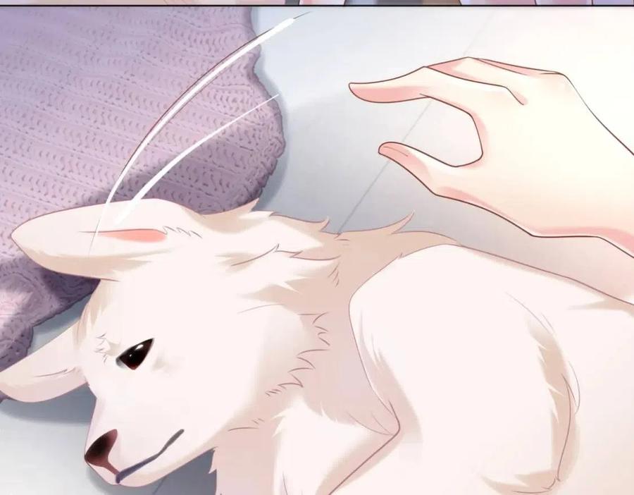 第41话 这该不是&hellip;&hellip;要生了？(1/2)-第42话