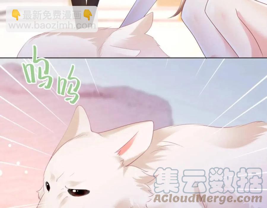 第41话 这该不是&hellip;&hellip;要生了？(1/2)-第42话