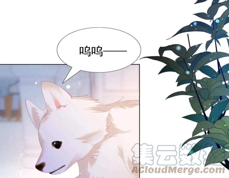 第41话 这该不是&hellip;&hellip;要生了？(1/2)-第42话