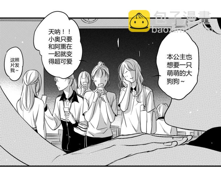 第80话 小萌狗-第68话