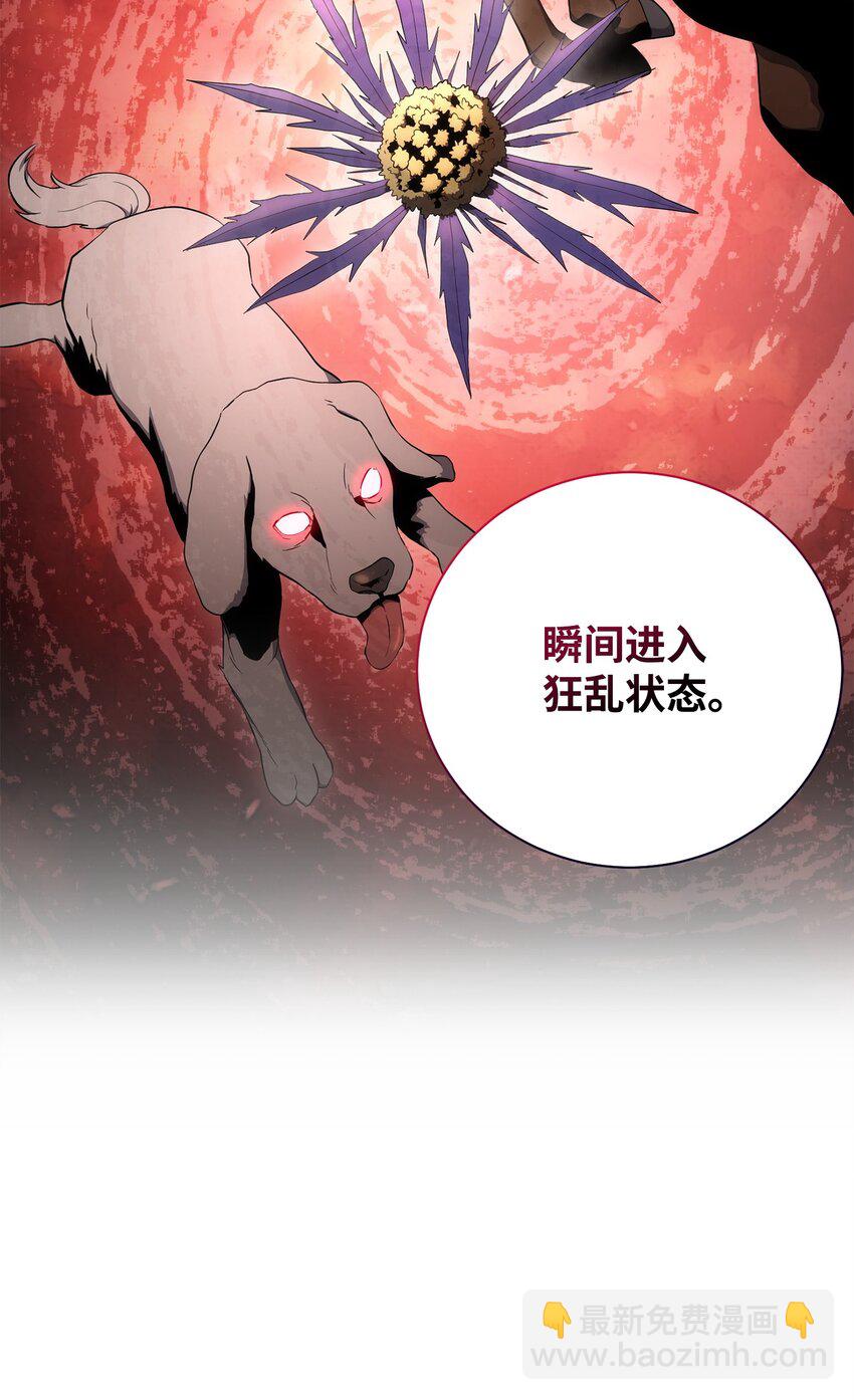 178 单挑(1/3)-第164话