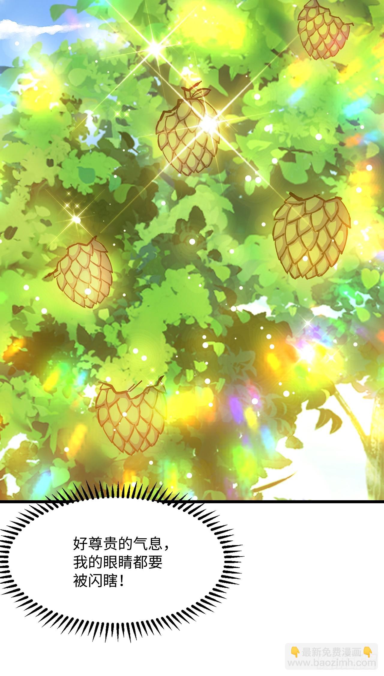 第20话(1/2)-第20话