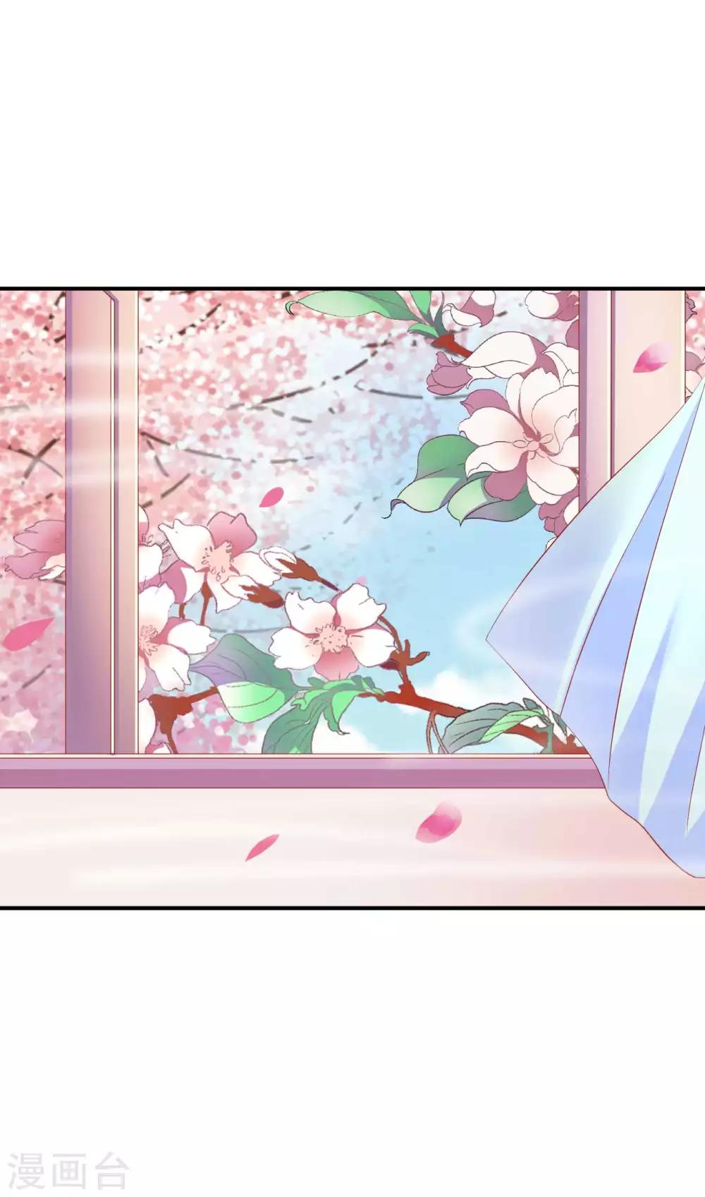 第63话 一只猪的威力-第64话