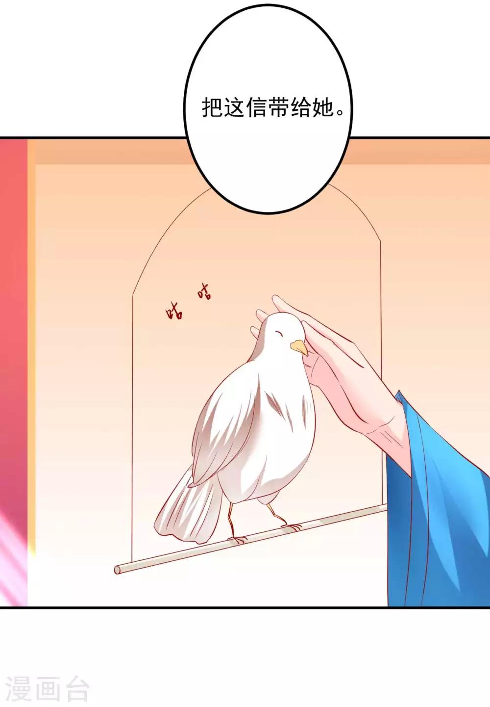 第63话 一只猪的威力-第64话