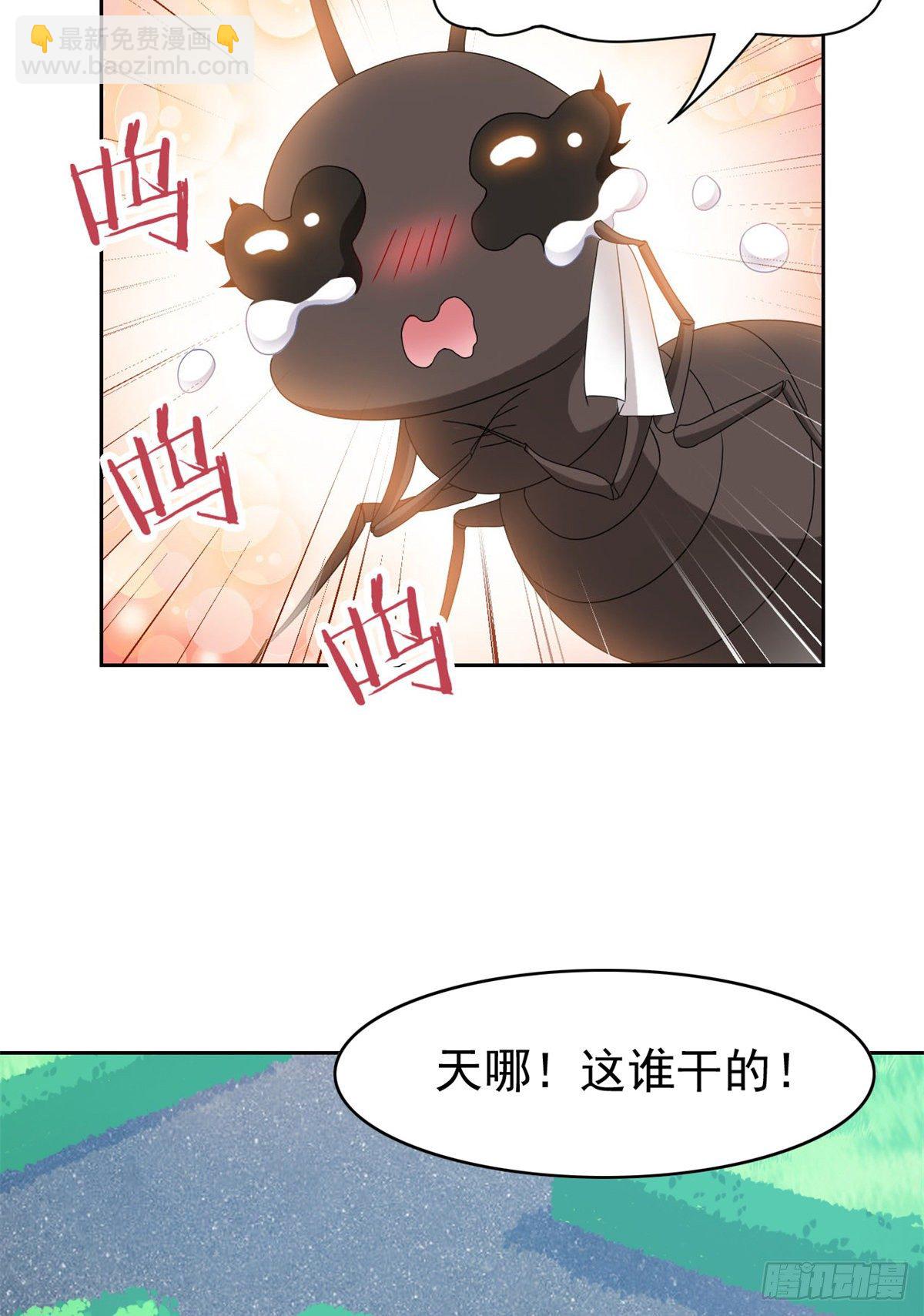 42 高压箱上，跳个辣舞(1/2)-第44话