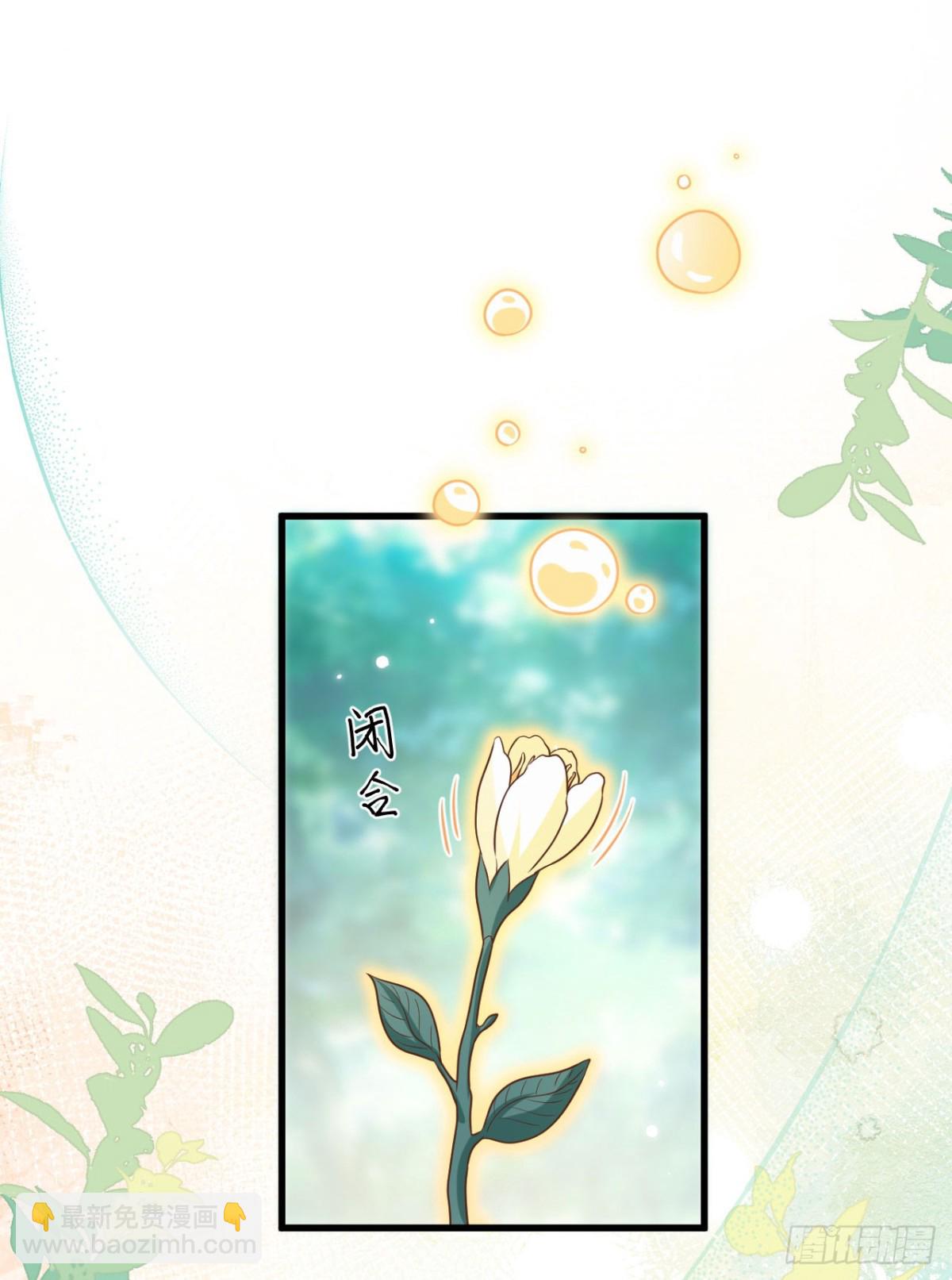 479 鹿族科尔内利(1/2)-第532话