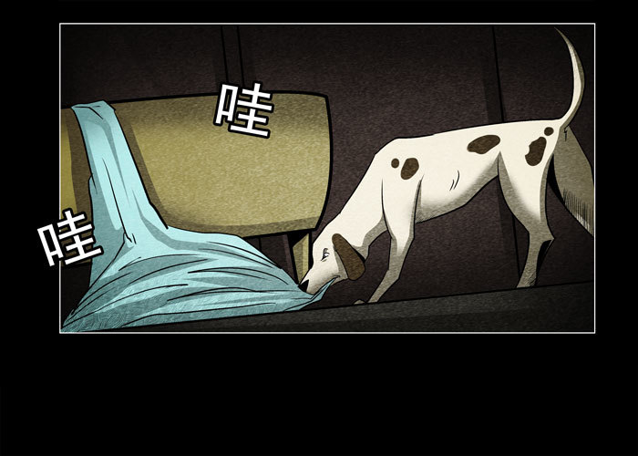 老狗06-第38话