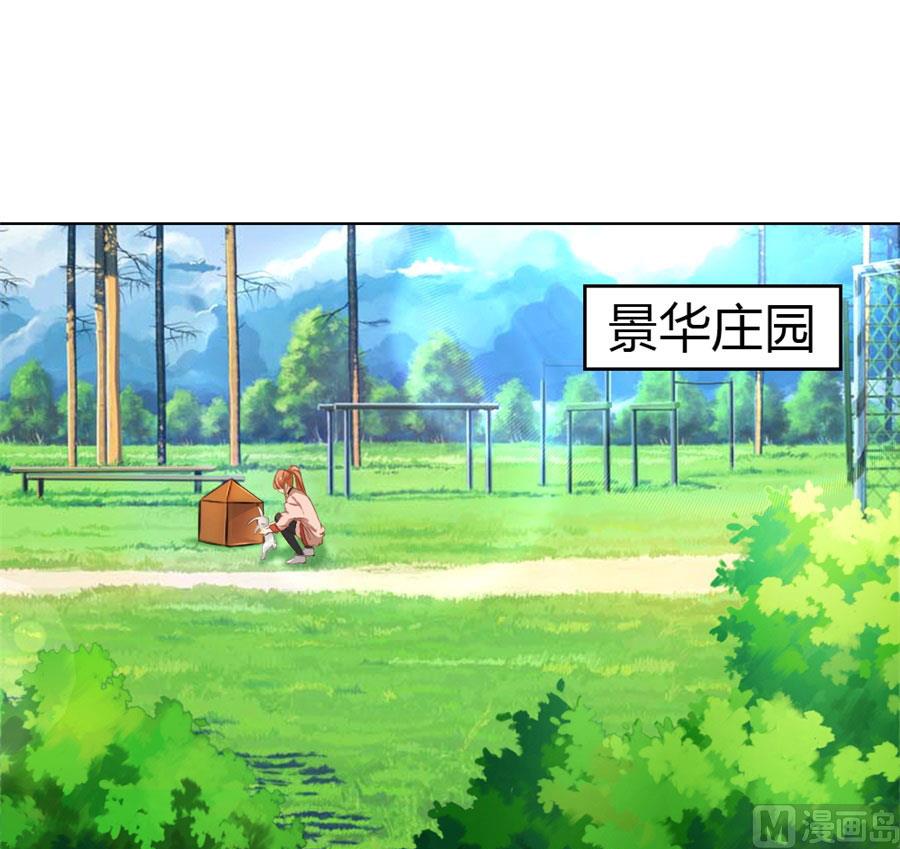 沈总开直播了？！-第94话