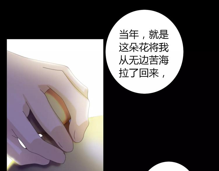 第41话 传说中的昙花(1/2)-第42话