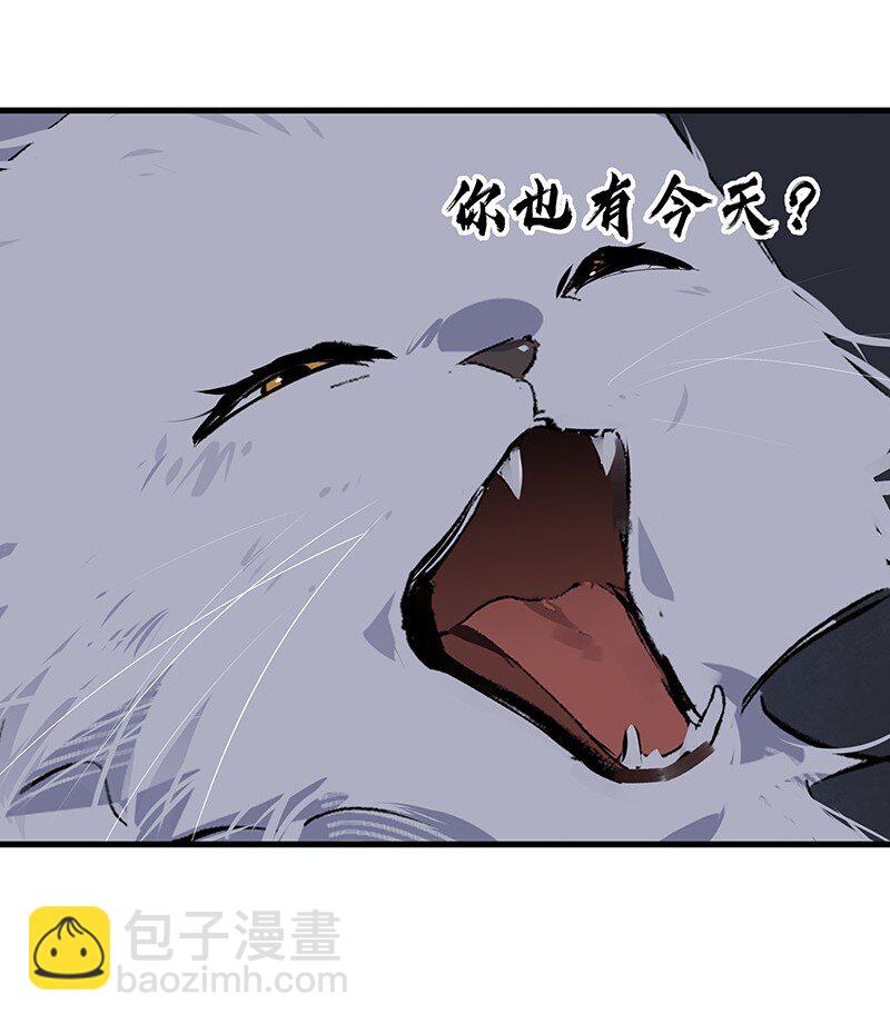 074 投石问路(1/2)-第74话