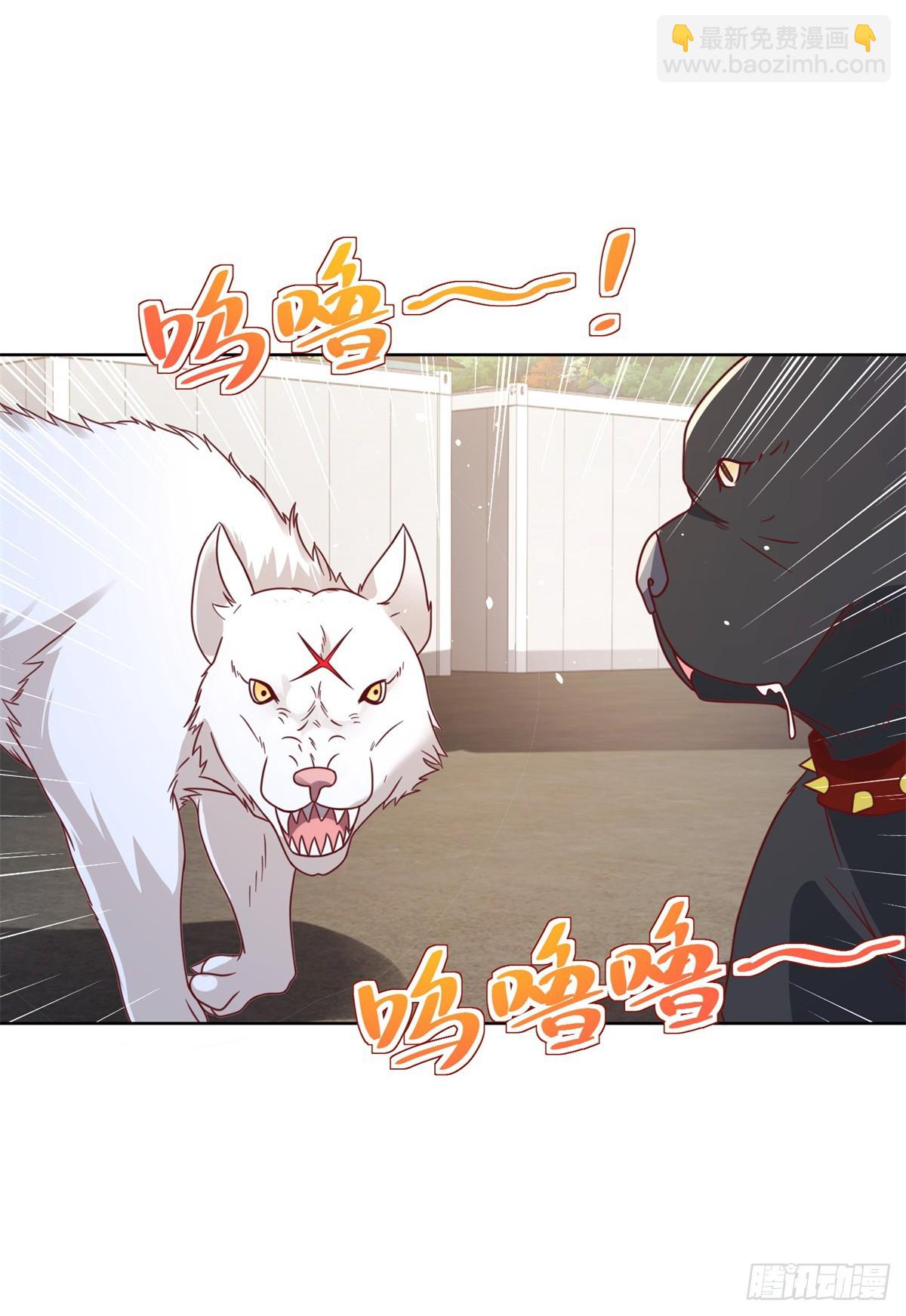 第89话 私人猎场-第90话