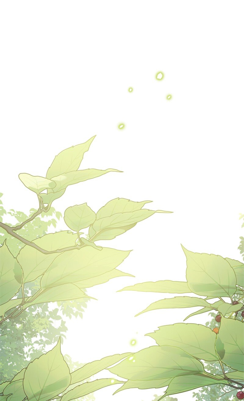 23 皇宫前皇妃作秀(1/2)-第24话