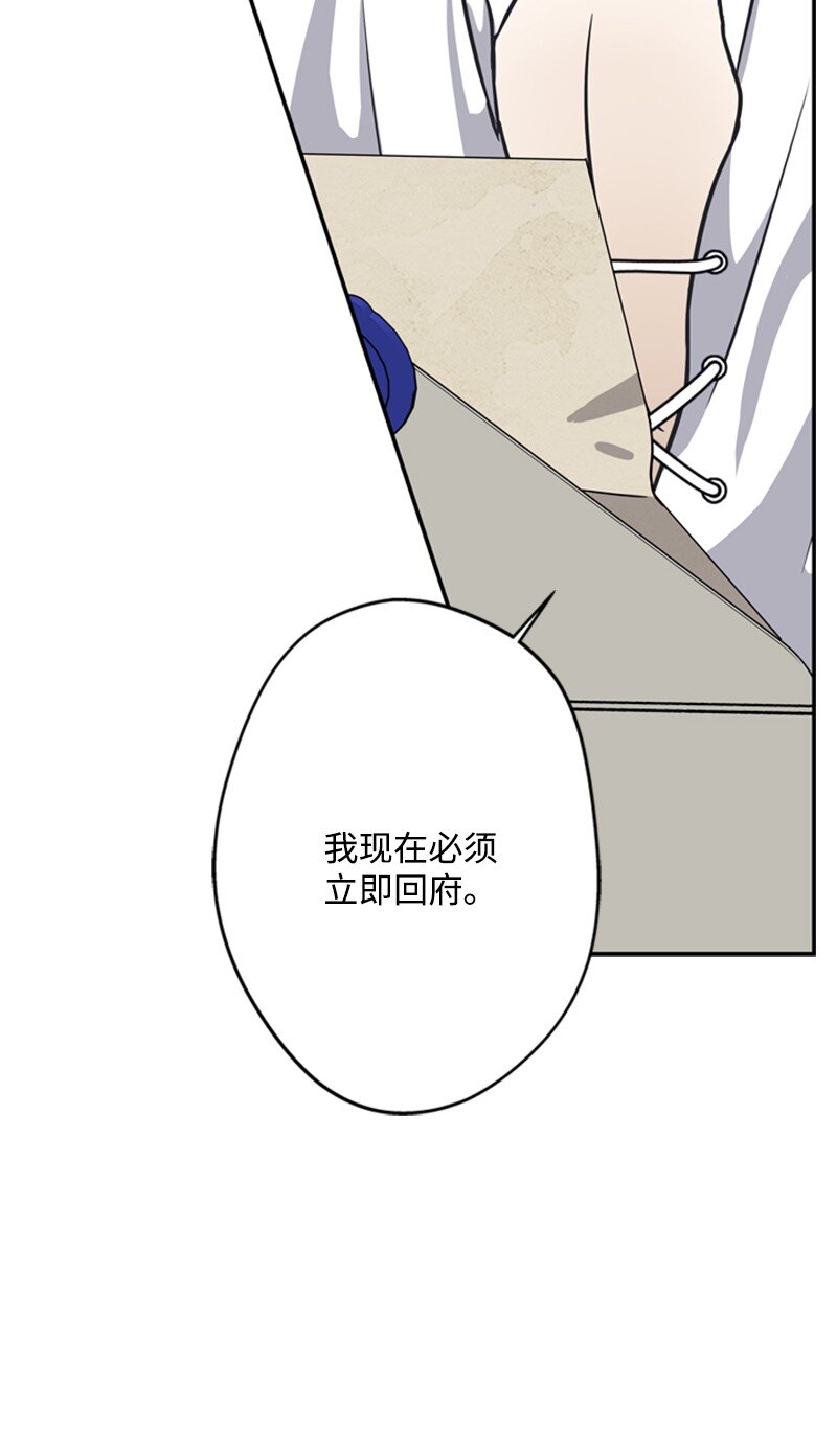 43 事发突然急回府(1/2)-第44话