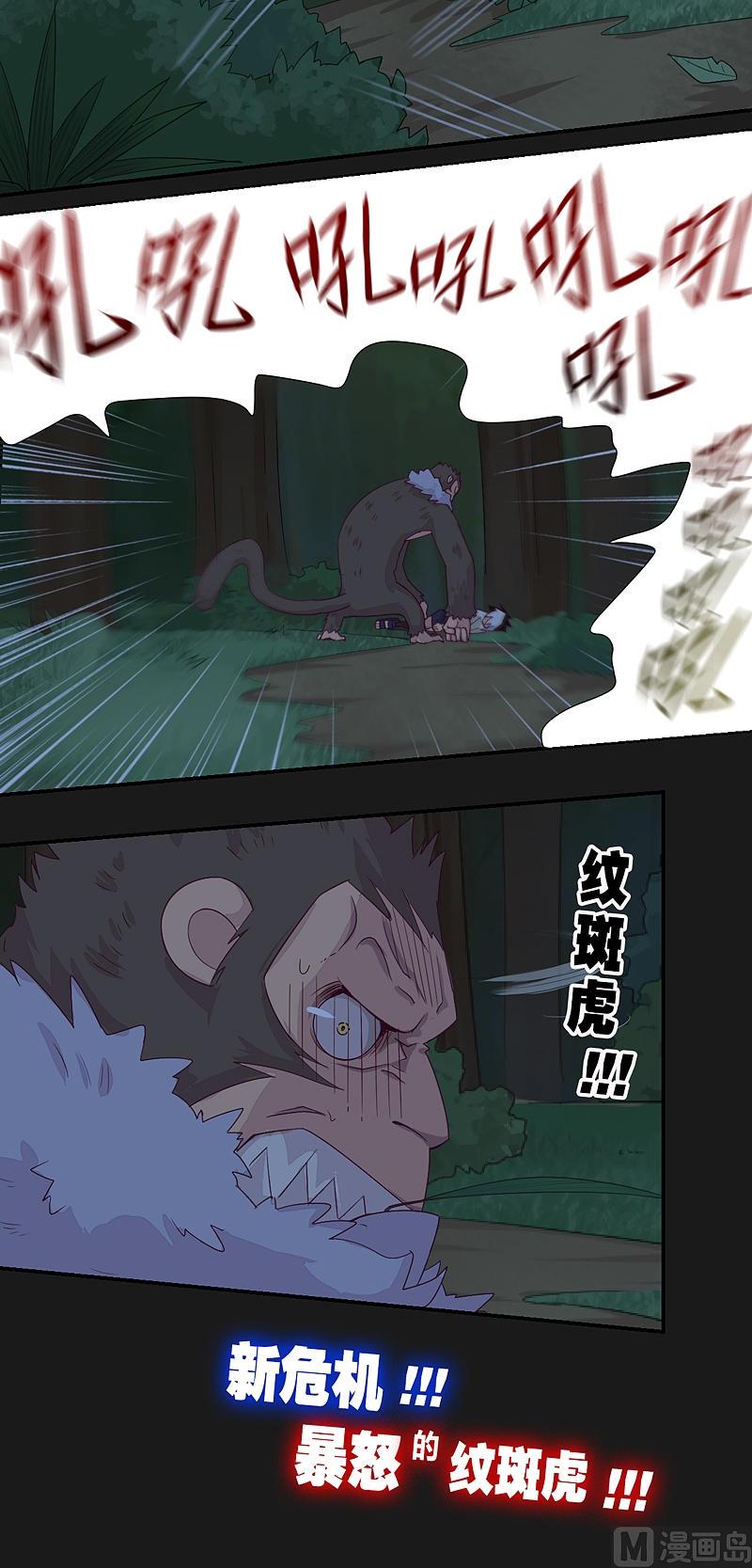 第23话 斑纹虎！-第28话