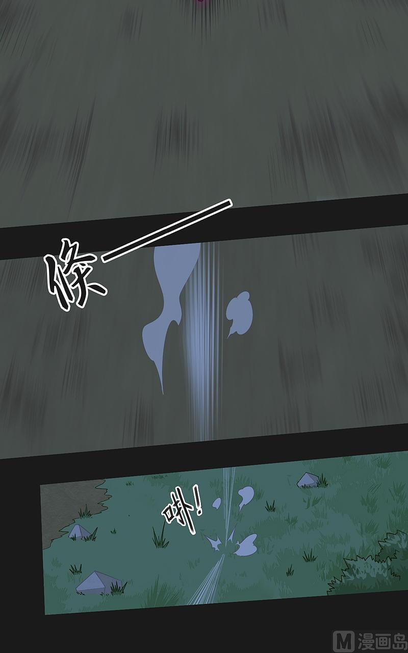 第23话 斑纹虎！-第28话