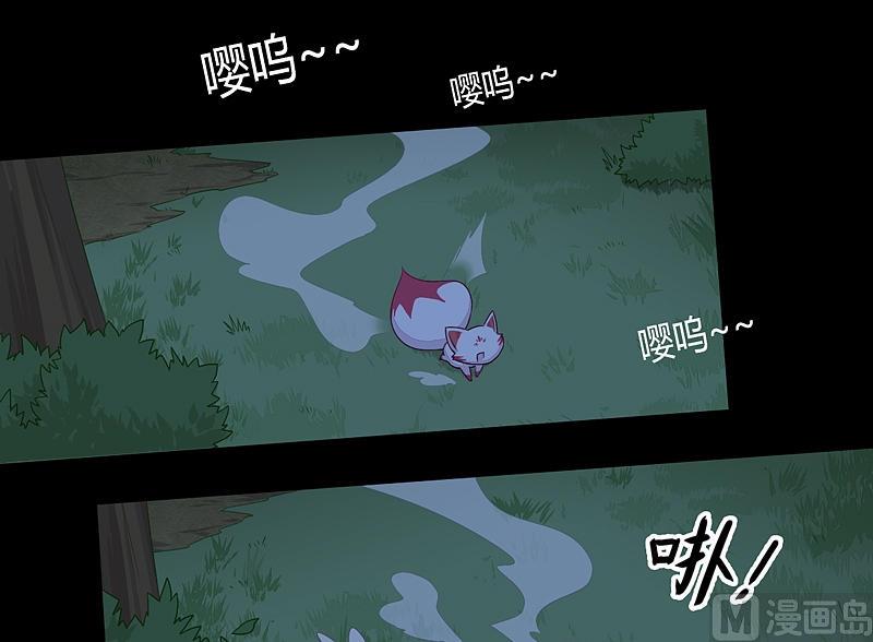 第23话 斑纹虎！-第28话
