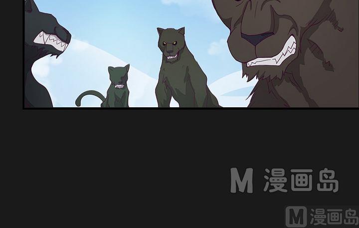 第41话 奔云豹！-第46话