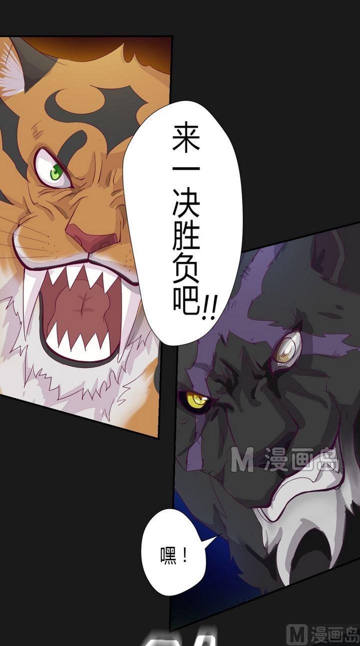 第41话 奔云豹！-第46话