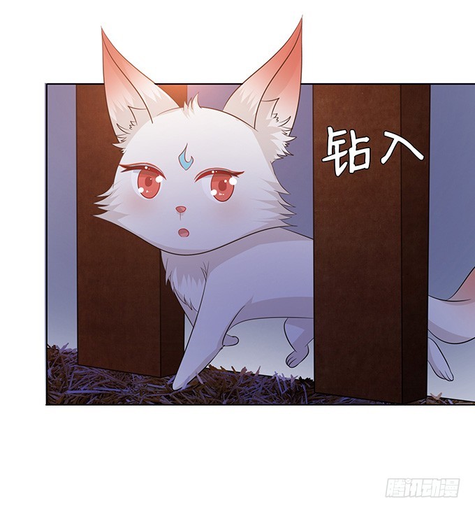 无情帝王家(1/2)-第46话