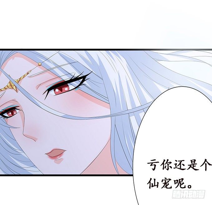 妲己的请求(1/3)-第10话