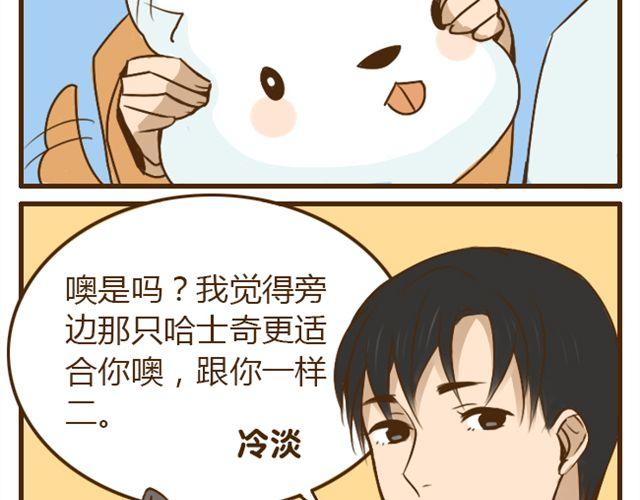 第22话 一起洗澡做造型-第22话