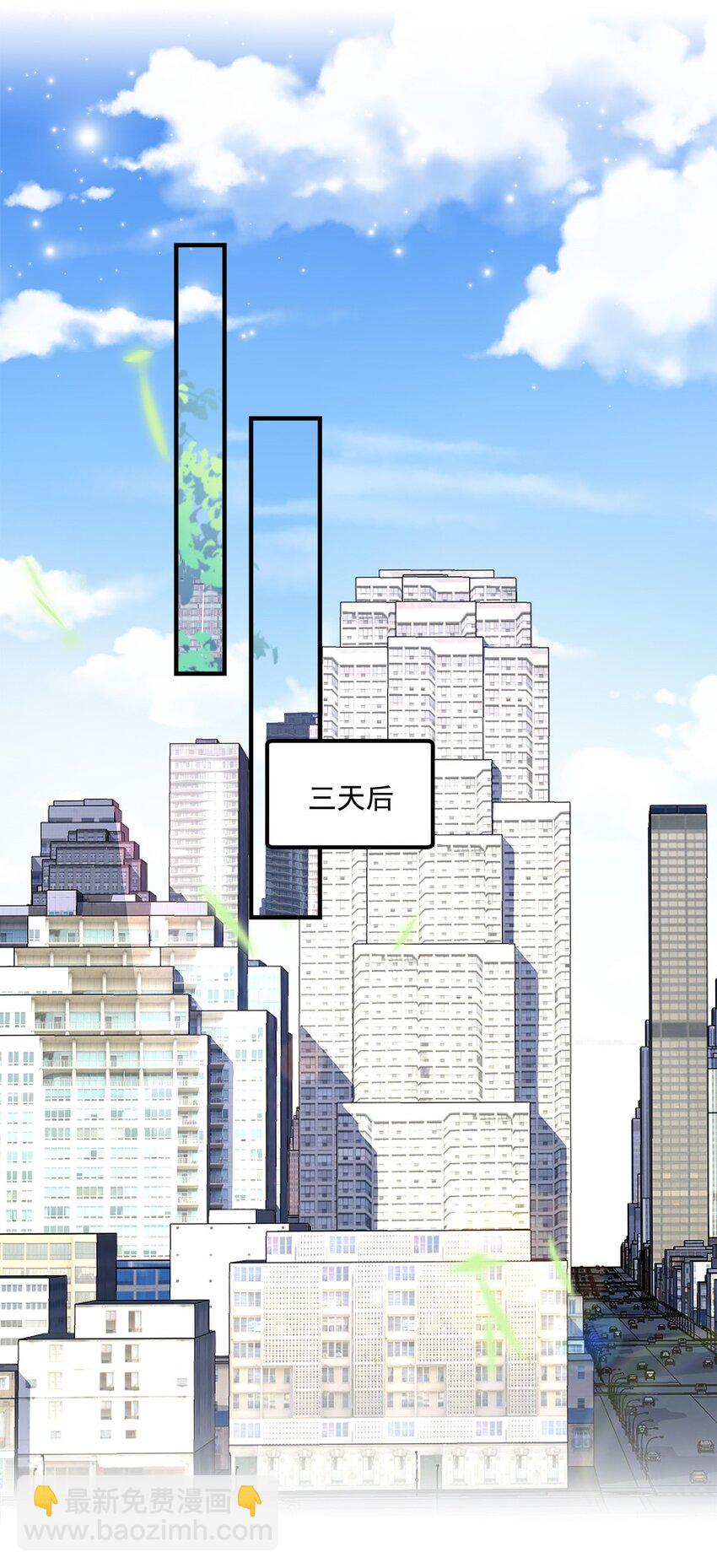 212 准备收网！-第216话
