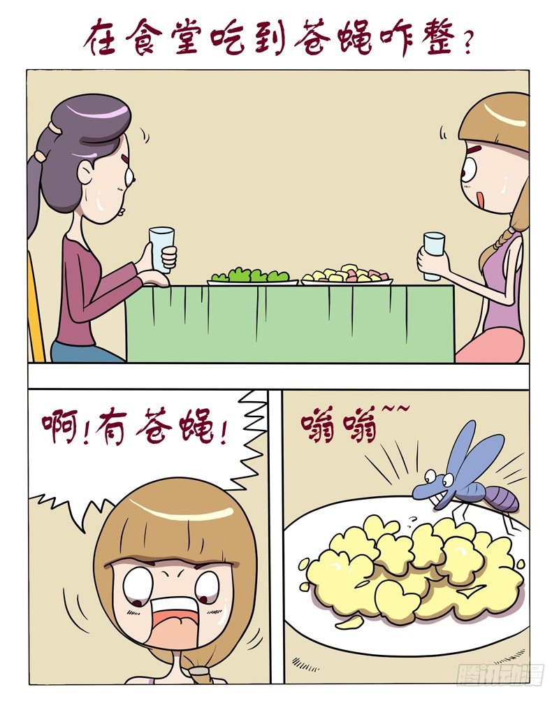 在食堂吃到苍蝇咋整？-第54话