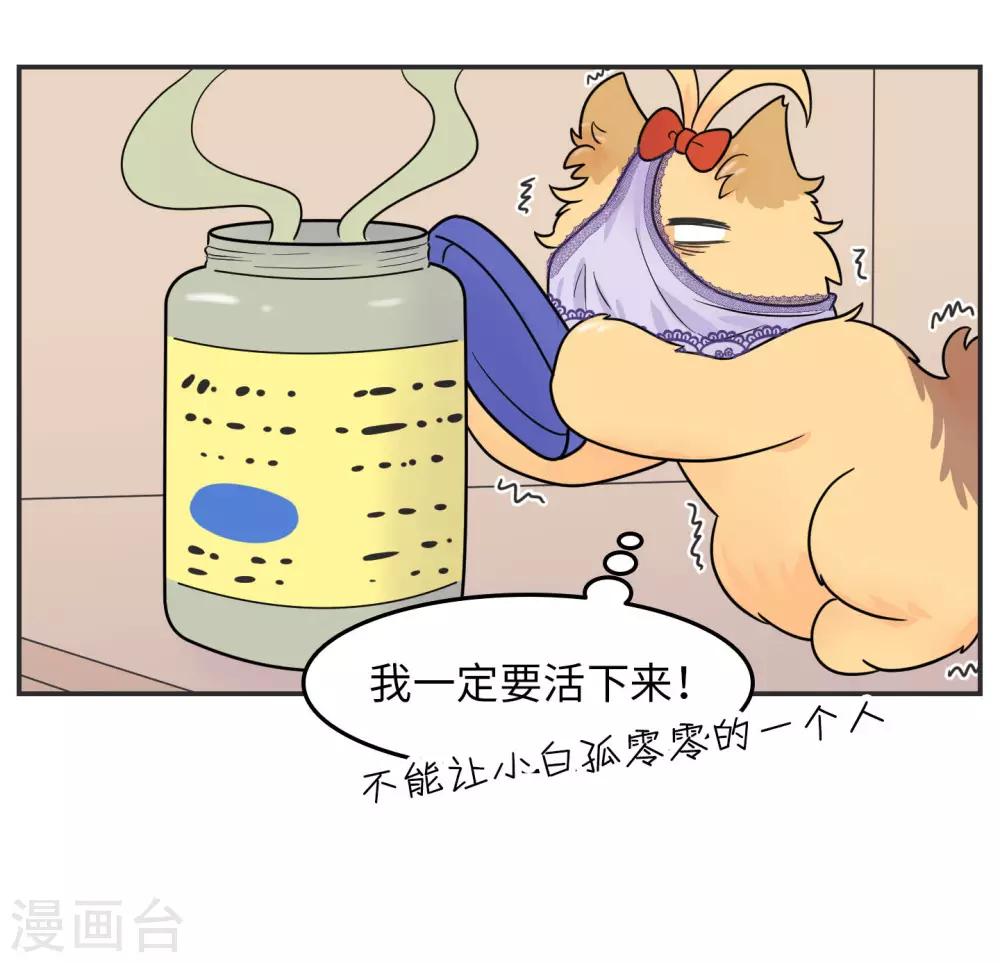 第20话 蚂蚁花的就让蚂蚁还-第20话