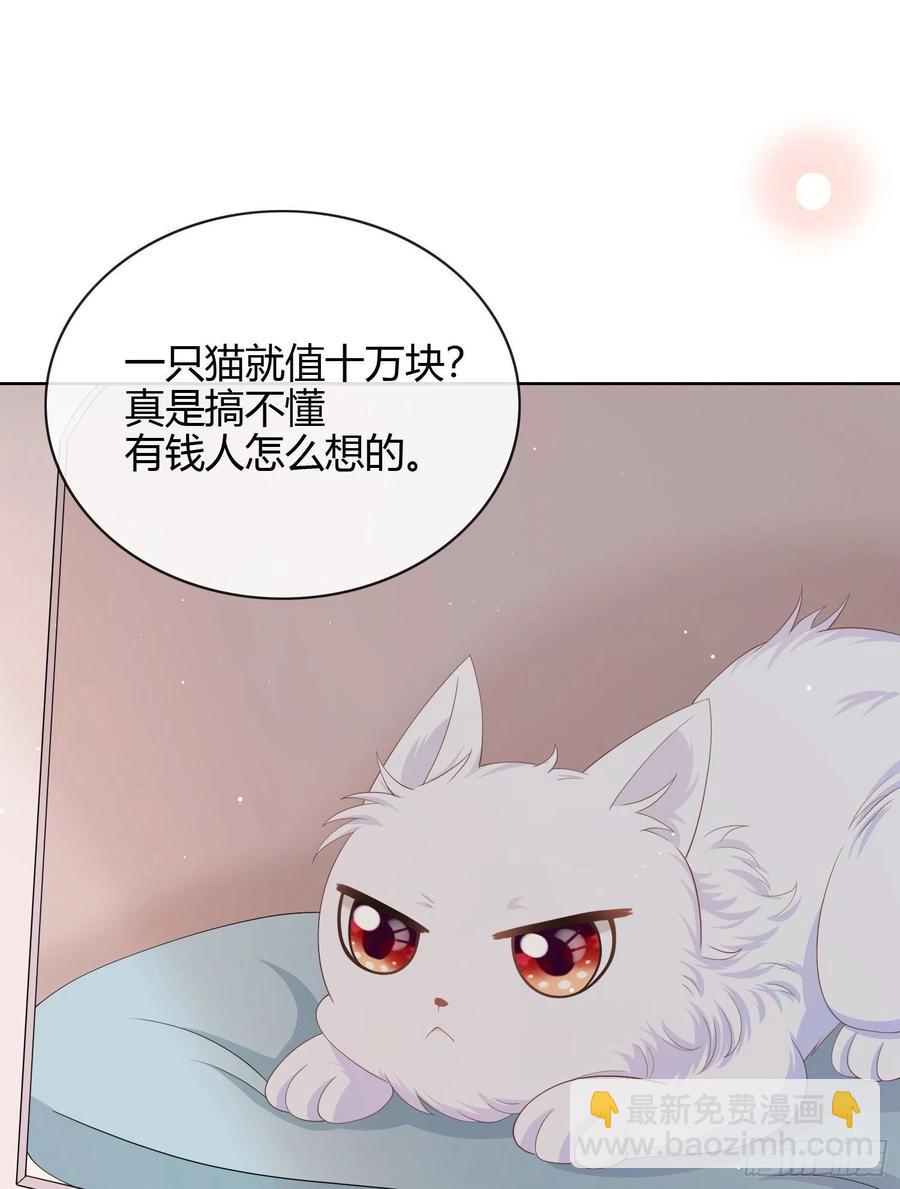 绿茶终结者-第14话
