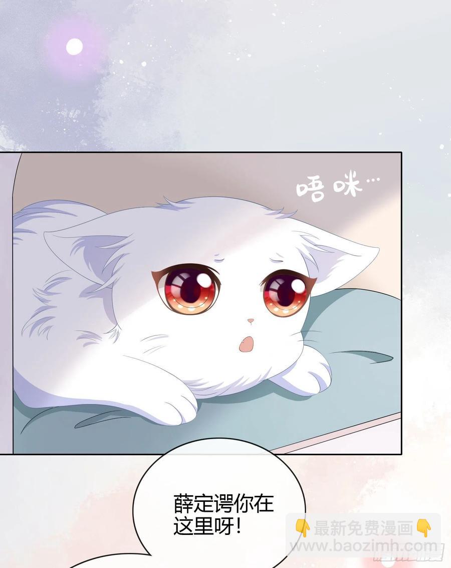 绿茶终结者-第14话