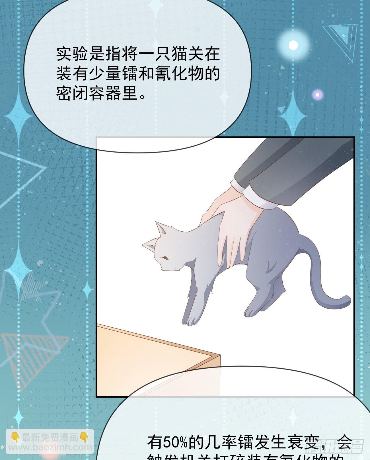 薛定谔的猫(1/2)-第126话