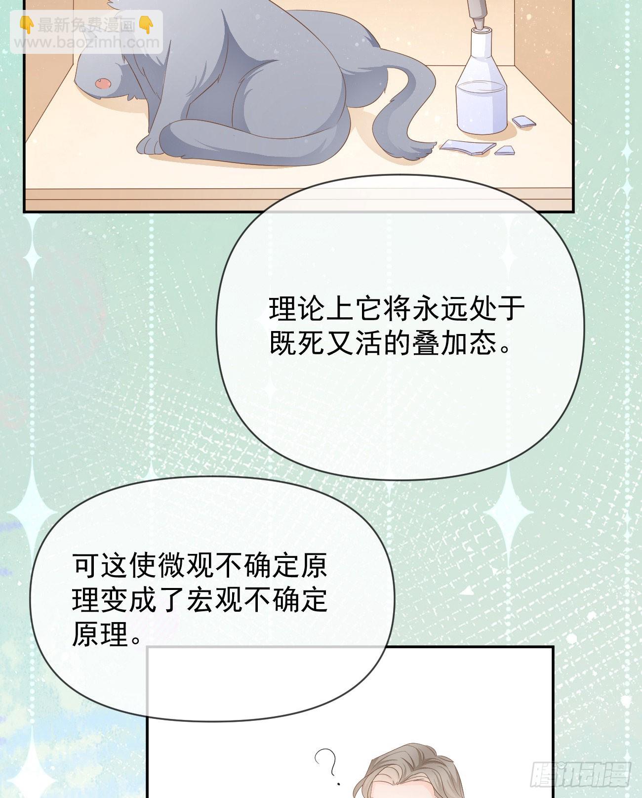 薛定谔的猫(1/2)-第126话