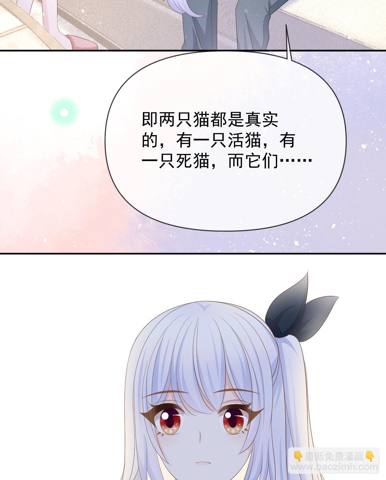 薛定谔的猫(1/2)-第126话