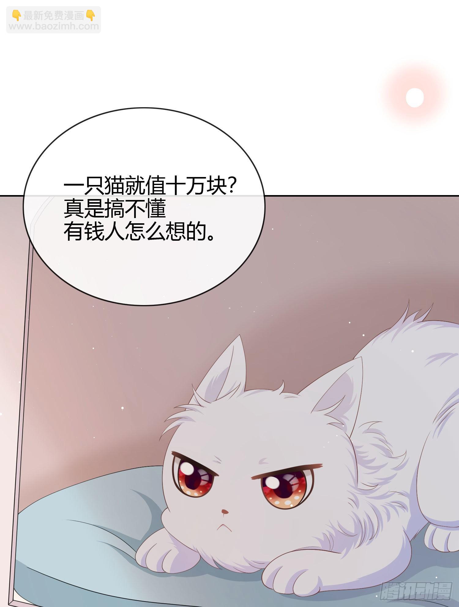 绿茶终结者-第14话